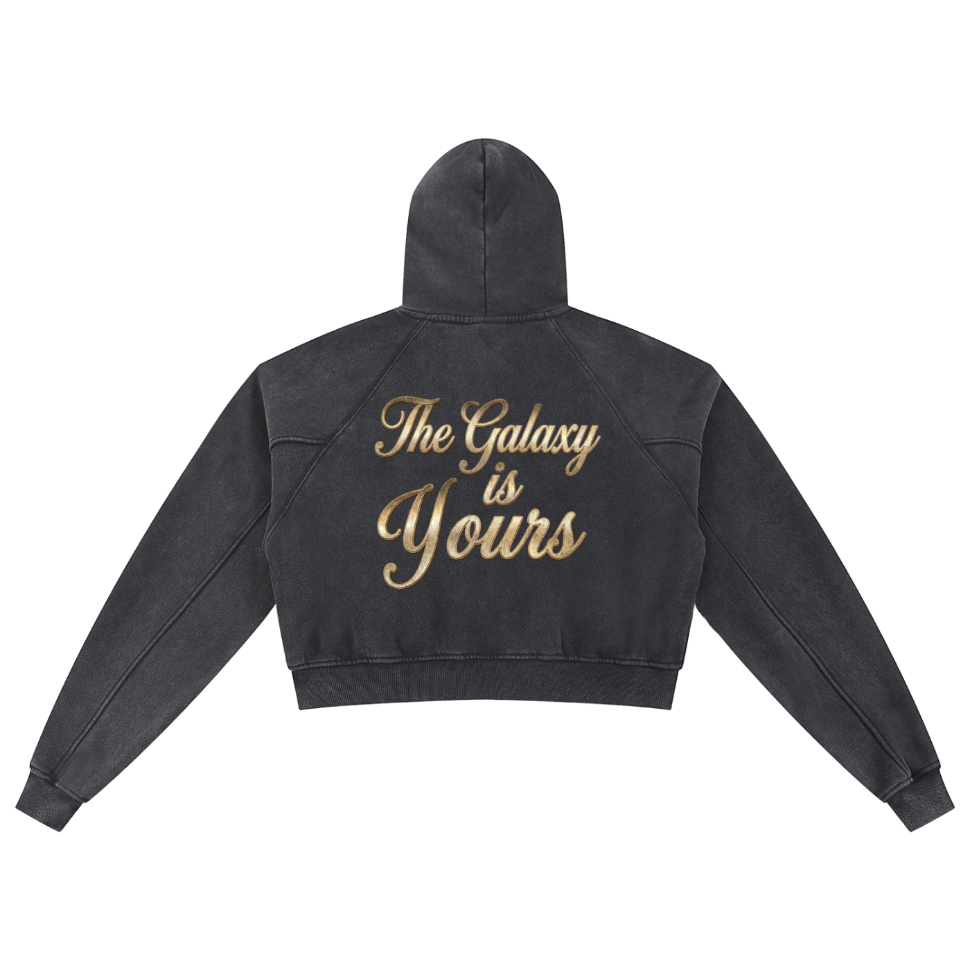 Women's Snow Washed Cropped Ho